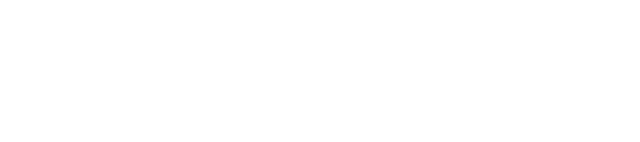 Run Developer